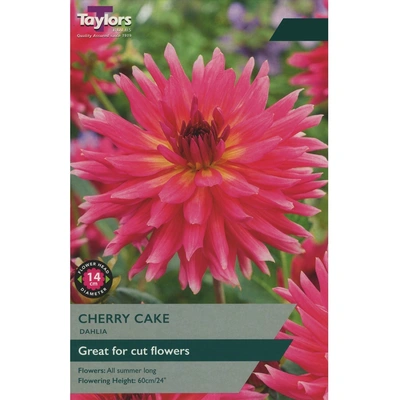 Taylors Dahlia Cherry Cake