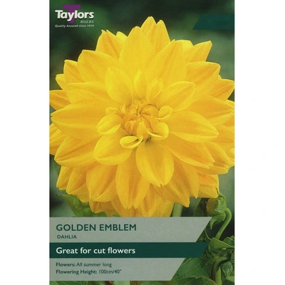 Taylors Dahlia Golden Emblem