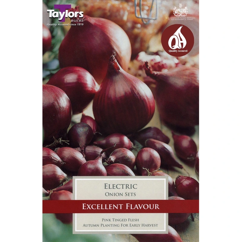 Taylors Onion Electric