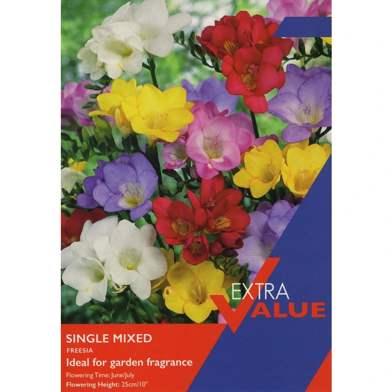 Taylors Extra Value Freesia Single Mixed