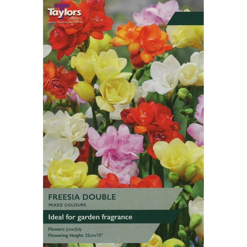 Taylors Freesia Mixed Doubles