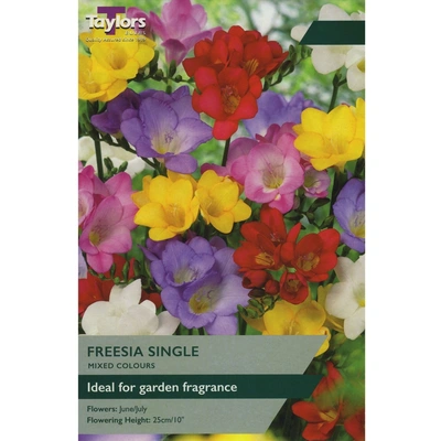 Taylors Freesia Mixed Singles