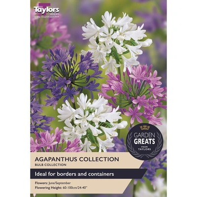 Taylors Garden Greats Agapanthus Collection