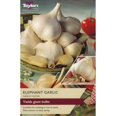 Taylors Garlic Elephant Garlic