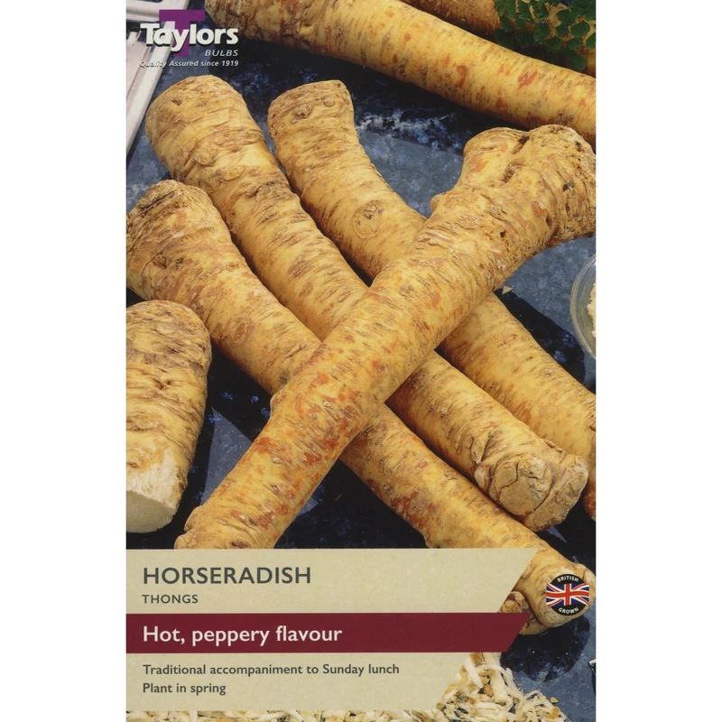 Taylors Horseradish