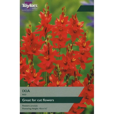 Taylors Ixia Red