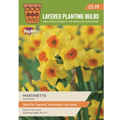 Taylors Layered Planting Narcissus Martinette