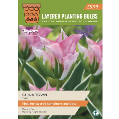 Taylors Layered Planting Tulips China Town