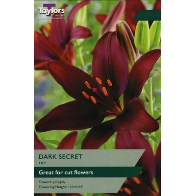 Taylors Lily Dark Secret