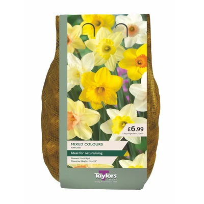 Taylors Narcissi Carri-Pack Mixed 1.5kg