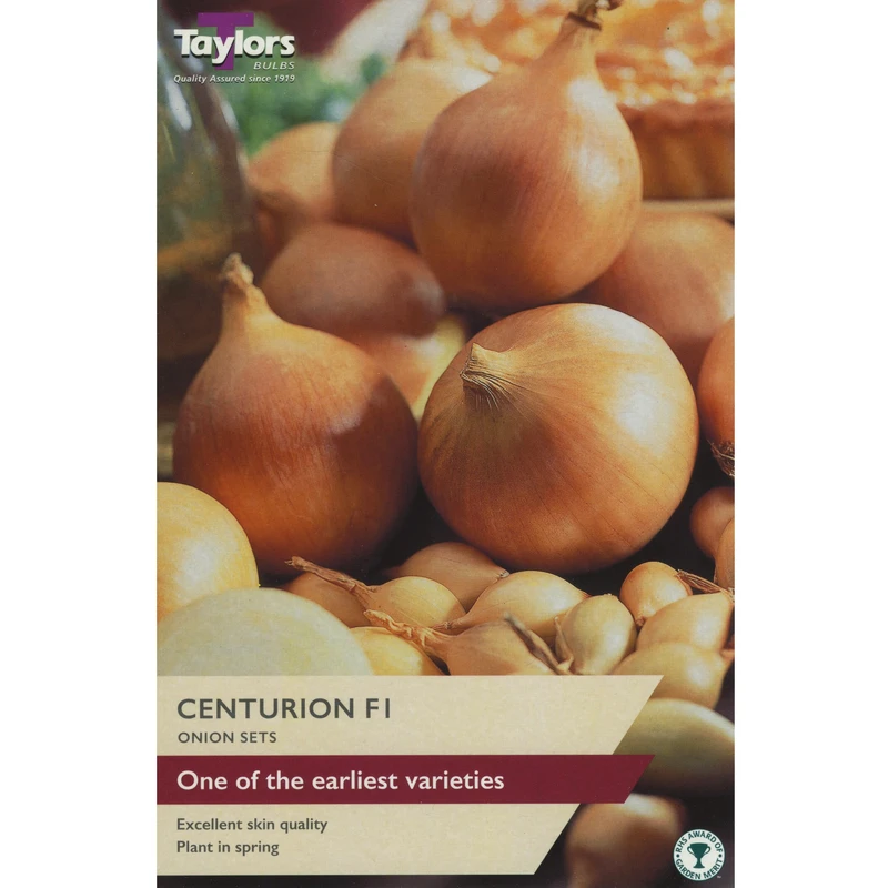 Taylors Onion Centurion F1 Pre-Packed