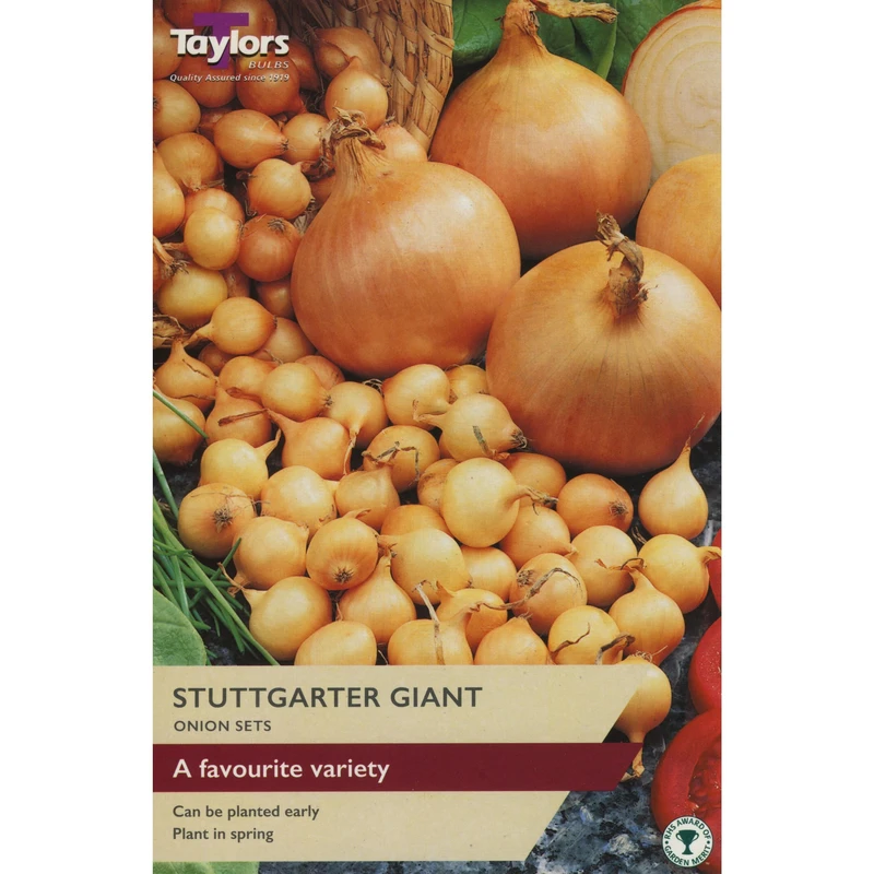 Taylors Onion Stuttgarter Giant Pre-Packed