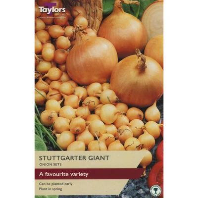 Taylors Onion Stuttgarter Giant Pre-Packed