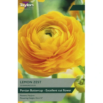 Taylors Ranunculus Lemon Zest