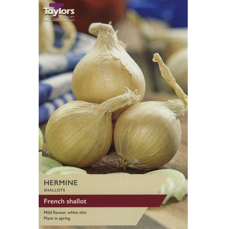 Taylors Shallot Hermine Pre-Packed