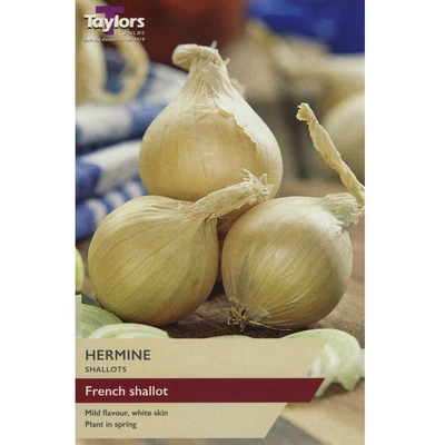 Taylors Shallot Hermine Pre-Packed