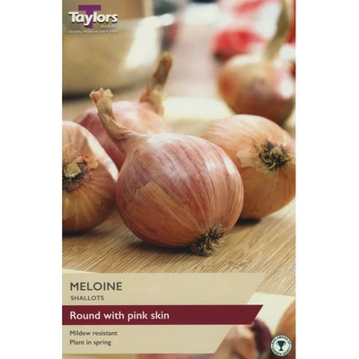 Taylors Shallot Meloine Pre-Packed