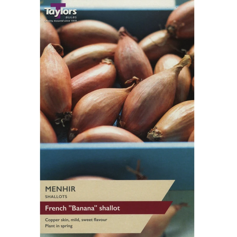 Taylors Shallot Menhir Pre-Packed