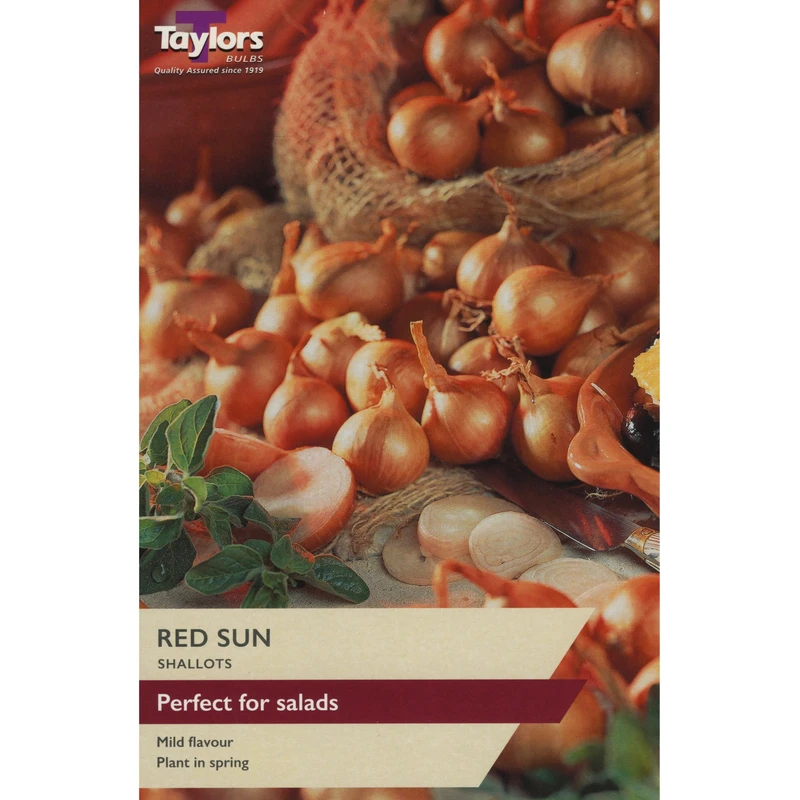 Taylors Shallot Red Sun Pre-Packed