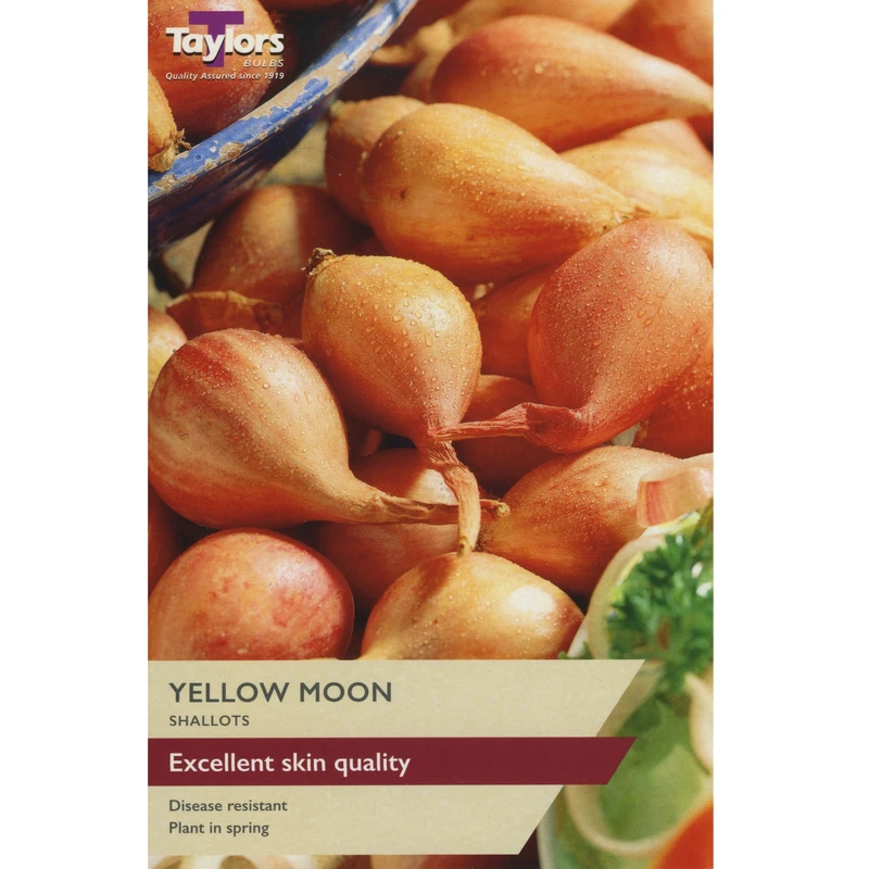 Taylors Shallot Yellow Moon Pre-Packed