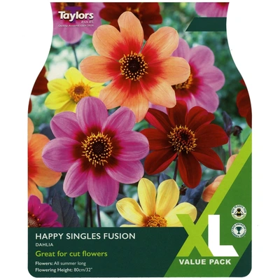 Taylors XL Value Dahlia Happy Singles Fusion