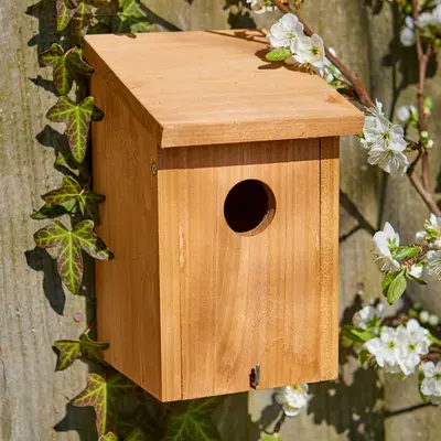 Tom Chambers Abbey Nest Box