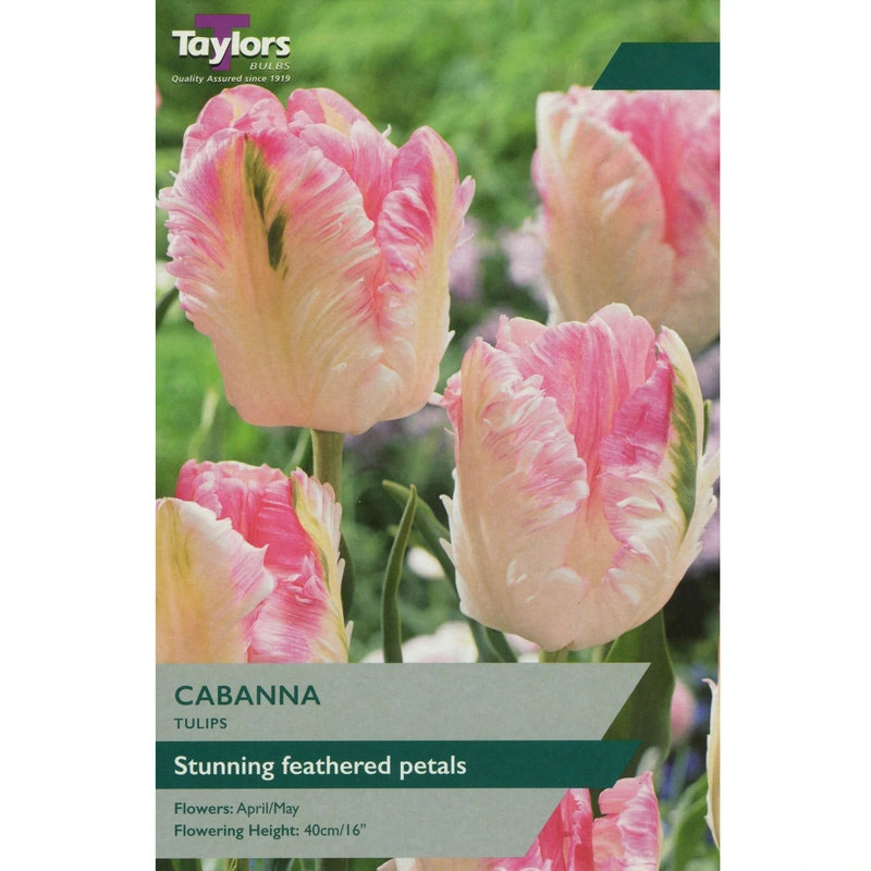 Taylors Tulip Cabanna