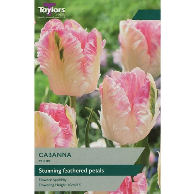 Taylors Tulip Cabanna