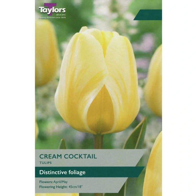 Taylors Tulip Cream Cocktail