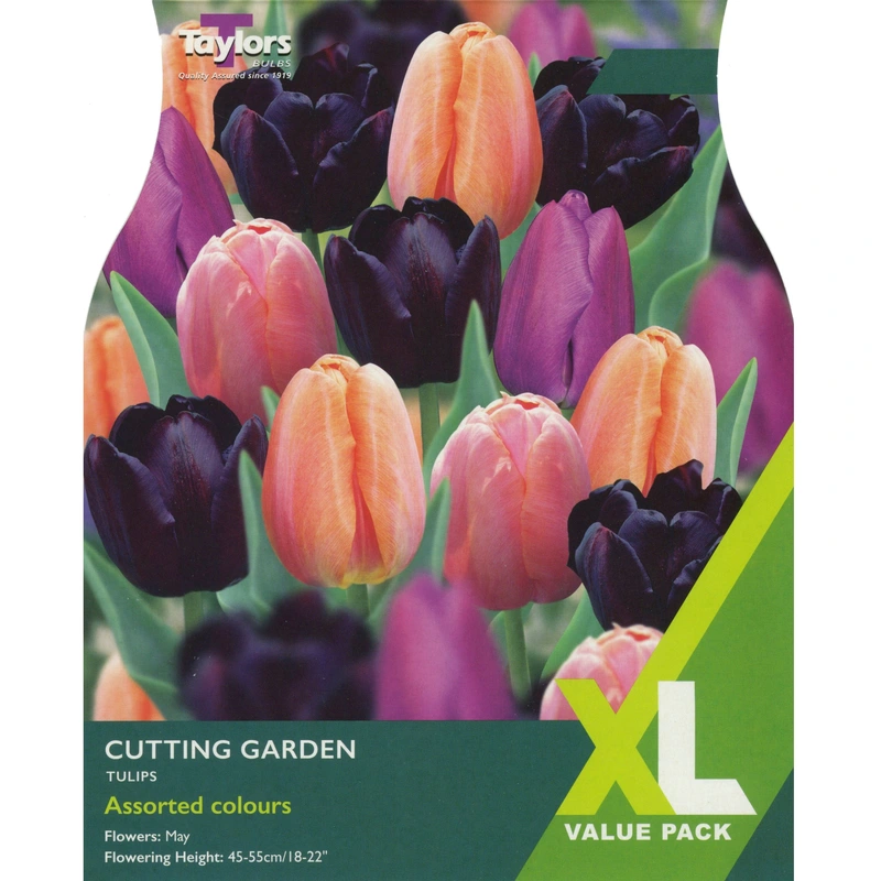 Taylors XL Tulip Cutting Garden