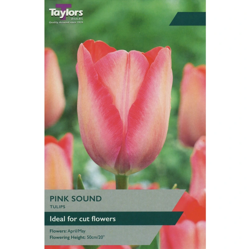 Taylors Tulip Pink Sound