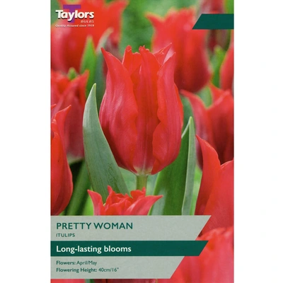 Taylors Tulip Pretty Woman