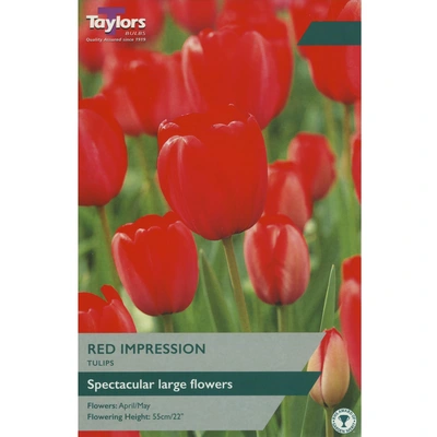 Taylors Tulip Red Impression