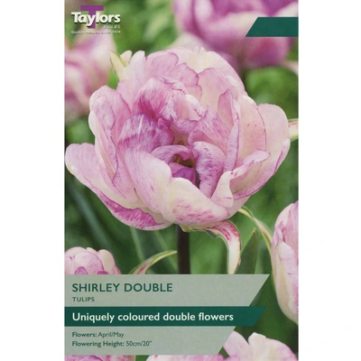 Taylors Tulip Shirley Double