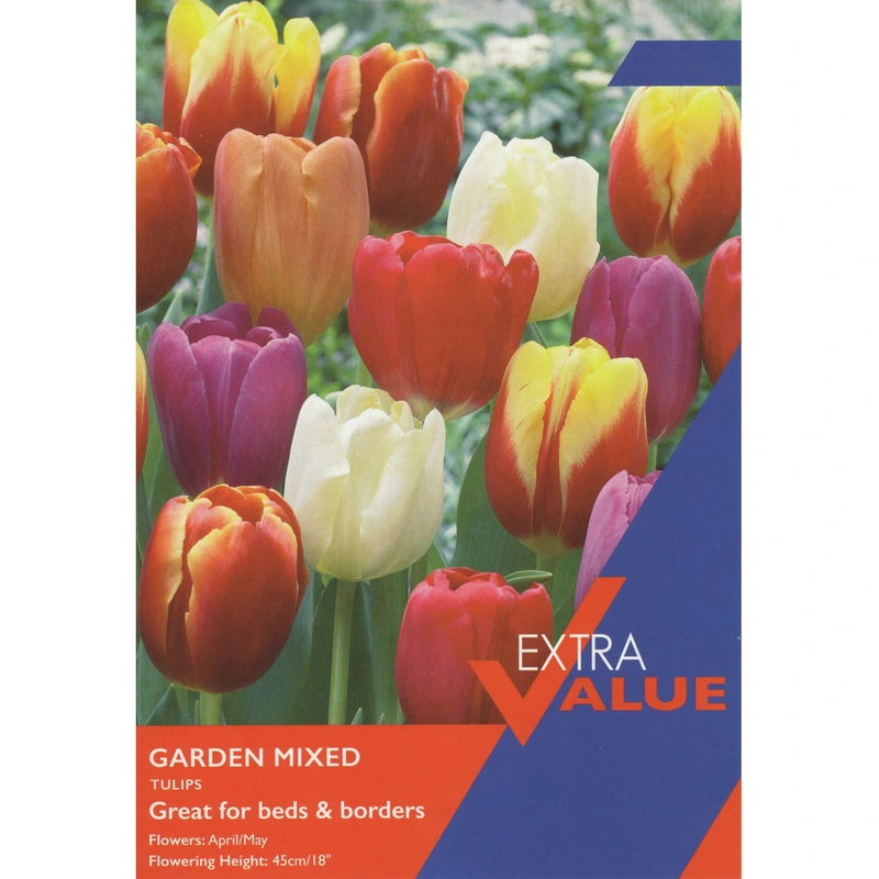 Taylors Extra Value Tulips Garden Mixed